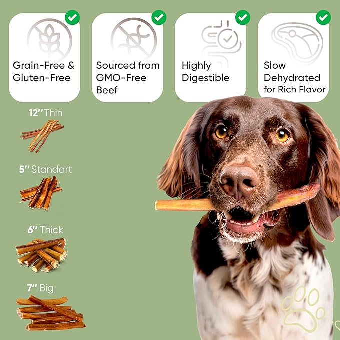 MASSTICK Bully Sticks for Dogs 4 Inch – Extra Thick, Long Lasting, Odor Free Beef Dog Chew Sticks – All Natural, Fully Digestible Treats for Small & Large Dogs – 8oz Bag