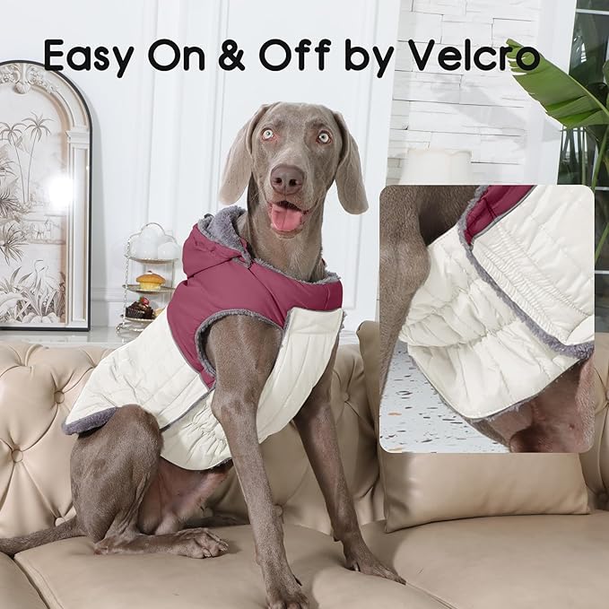Detachable Hooded Dog Coat with Harness for Medium Dogs,Super Warm Fleece Puppy Jacket for Cold Winter Doggie Coats,Red XL