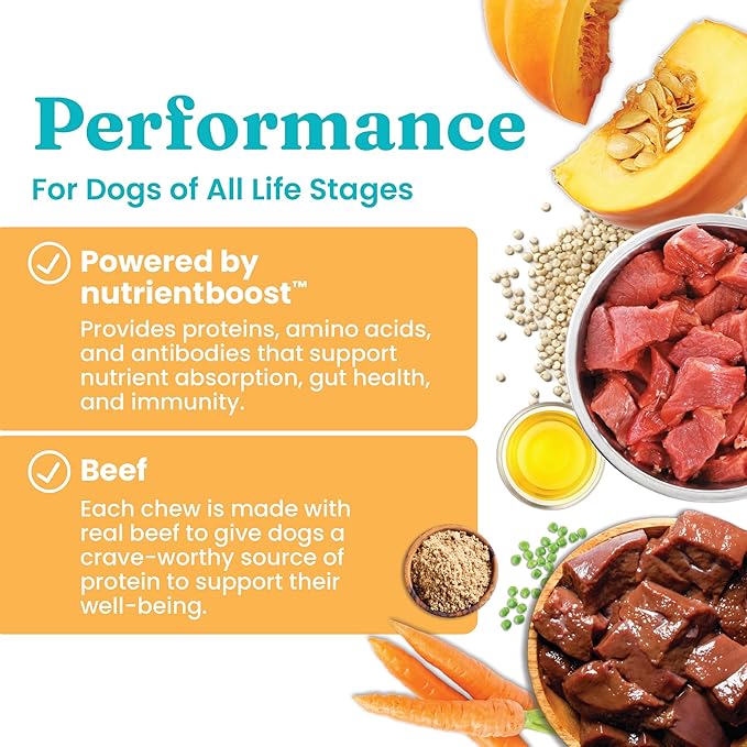 Solid Gold Healthy Dog Treats - Functional Beef Soft Dog Treat w/Salmon Oil & Superfoods for Gut Health & Performance for Active Dogs - Healthy Training Treats for Dogs of All Ages & Sizes - 5.2oz