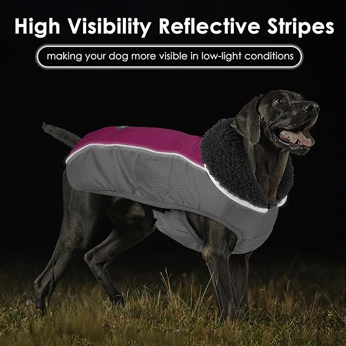 Dog Coat, Waterproof Ripstop Dog Winter Jacket with Leash Hole, Reflective Adjustable Warm Pet Fleece Snow Sweater for Small Medium Large Dogs - Rosy Red, L