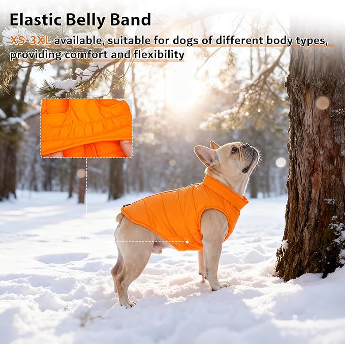 PUMYPOREITY Dog Puffer Coat with Detachable Scarf, Warm Padded Cold Weather Vest, Windproof Lightweight Snowsuit, Water Resistant Dog Winter Coats, Thermal Winter Jacket for Small Medium Large Dogs
