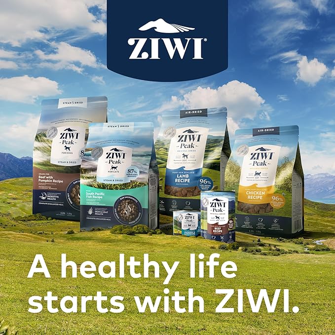 ZIWI Peak Wet Cat Food – All Natural, High Protein, Grain Free, Limited Ingredient, with Superfoods (Beef, Case of 12, 6.5oz Cans)