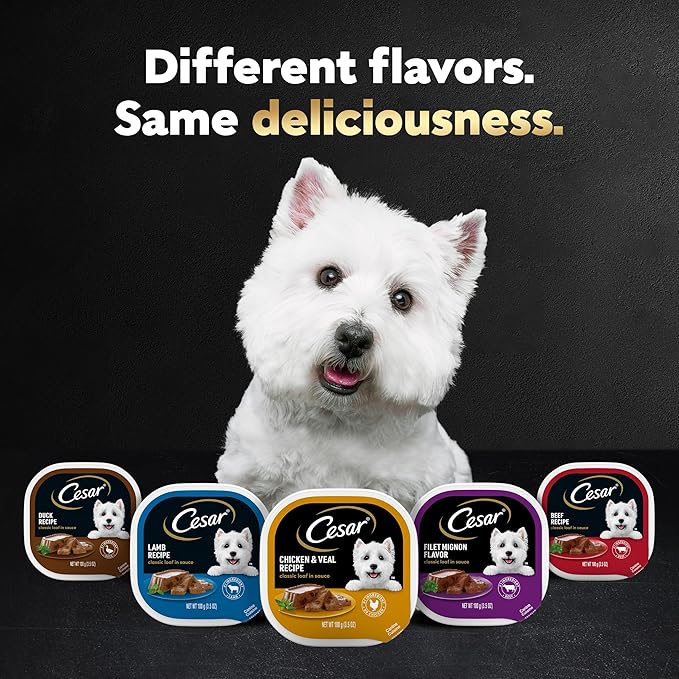 Cesar Wet Dog Food Classic Loaf in Sauce Beef Recipe, Filet Mignon, Grilled Chicken and Porterhouse Steak Variety Pack, 3.5 oz. Easy Peel Trays (24 Count, Pack of 1)