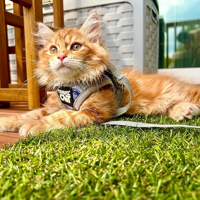Travel Cat Harness and Leash Set - Adjustable Fit Mesh Cat Harness and Reflective Strap - Comfort Walking Vest for Kitten for Outdoor Walking, Hiking (Extra Small, Cashcat)