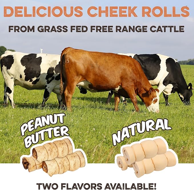 Premium Beef Cheek Rolls for Dogs 10-12" - (5-Pack), Peanut Butter Flavored Long Lasting, Safe & Natural Rawhide Alternative Chews, Ideal for Large Dogs & Aggressive Chewers, Supports Dental Health