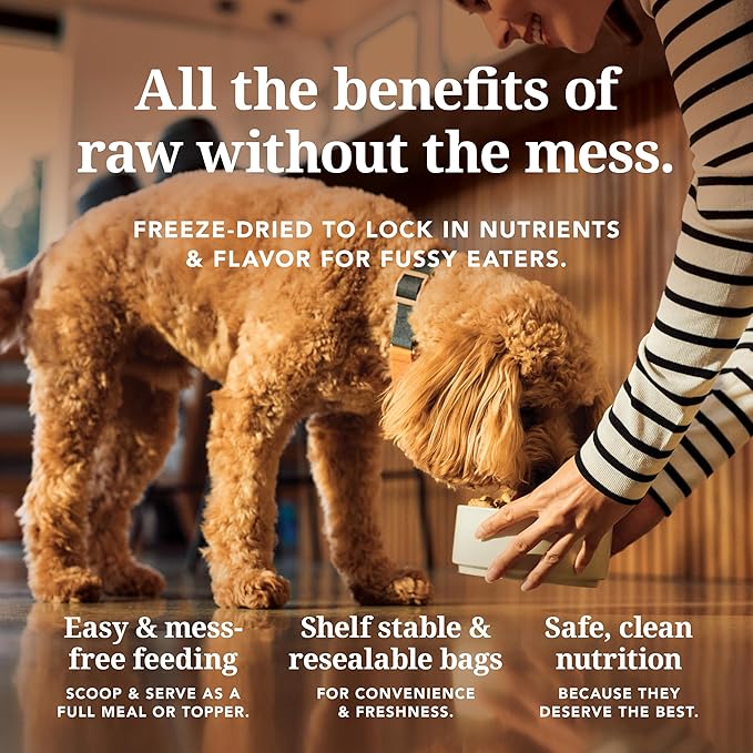 K9 Natural Beef Freeze Dried Dog Food, High-Meat Natural Complete Meal or Meal Toppers for Dogs, Grass-Fed Beef from New Zealand, Grain-Free, GMO-Free, Complete & Balanced Nutrition, 3.5oz