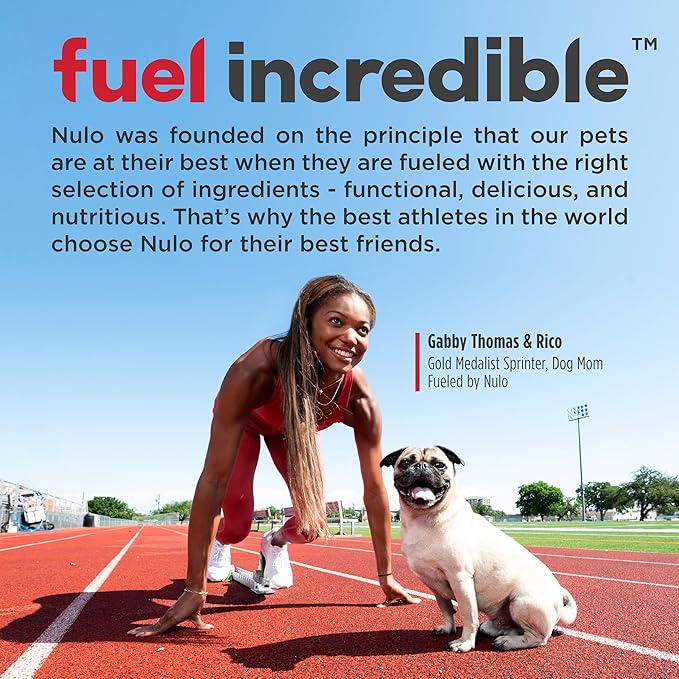 Nulo Freestyle Limited Ingredient Small Breed Food, High-Protein Turkey Recipe, Grain-Free Natural Dry Dog Food for Adult Dogs & Puppies with Food Sensitivities, Single Animal Protein, 14 lb Bag