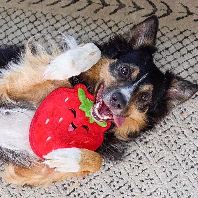 Outward Hound Tough Skinz Durable Squeaky Dog Toy with Two Tough Layers, Strawberry, Red, Medium
