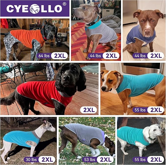 cyeollo 2 Pack Fleece Dog Sweater Pullover Dog Sweatshirt Reflective Lightweight Sweaters Warm Clothes for Medium Dogs Boy Girl Pet Apparel Blue, Mist Blue, XXL