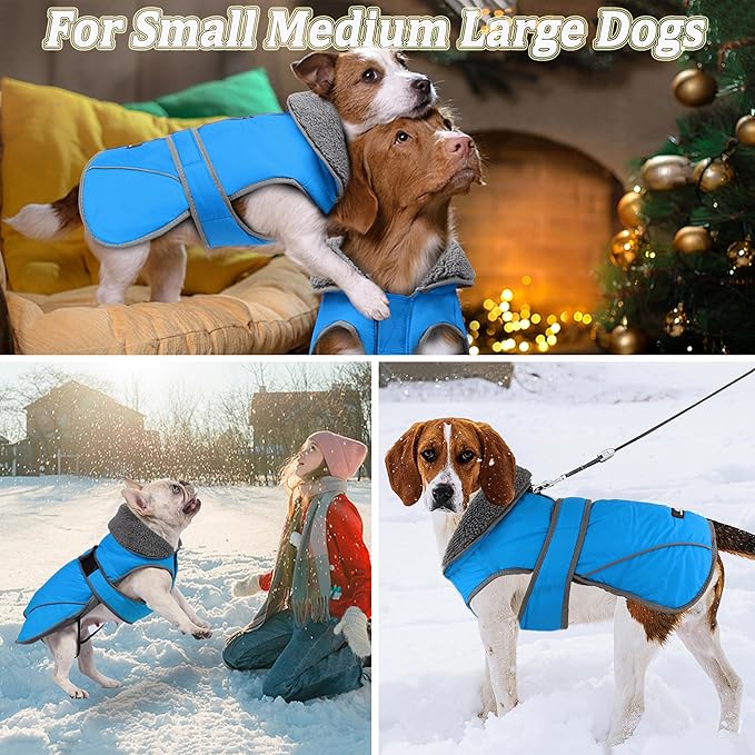 Dogcheer Dog Coat, Waterproof Dog Jacket Reflective Pet Winter Coat with Adjustable Hook & Loop, Christmas Puppy Fleece Jacket Warm Turtleneck Snowsuit for Small Medium Large Dogs - Sky Blue, S
