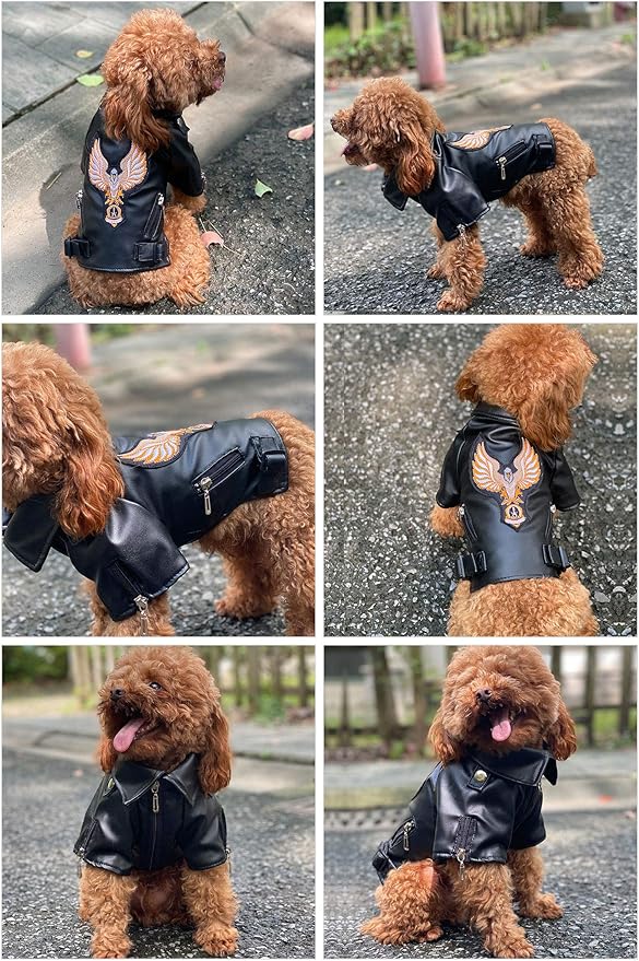 Lovelonglong Cool Dog Leather Jacket, Warm Coats Dogs Windproof Cold Weather Coats for Large Medium Small Dogs with Eagle Embroidery Black L