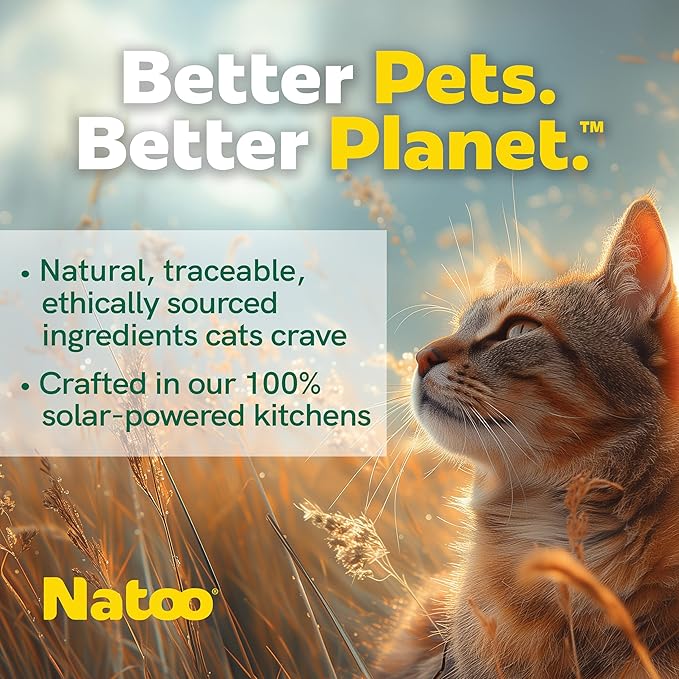 NATOO Cat Food Topper for Picky Eaters & Healthy Soft Cat Treat (Salmon & Pumpkin), Wet Food with Gravy, High Protein & Limited Ingredient, 2.4 oz (Case of 20)