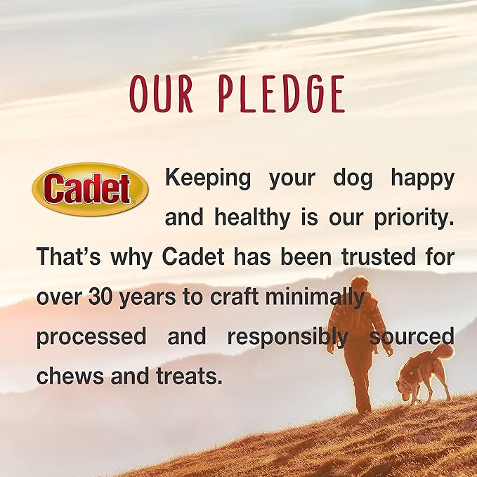 Cadet Premium Grade Pressed Beef Hide Bones, Long Lasting Rawhide Dog Chews, 6.5 Inch (12 Count)