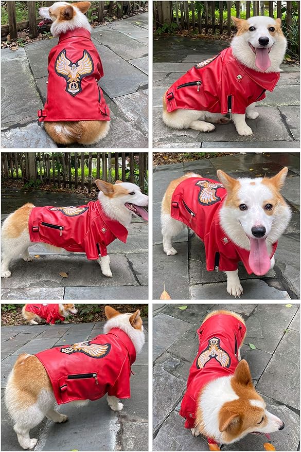 Lovelonglong Cool Dog Leather Jacket, Warm Coats Dogs Windproof Cold Weather Coats for Large Medium Small Dogs with Eagle Embroidery Red XS