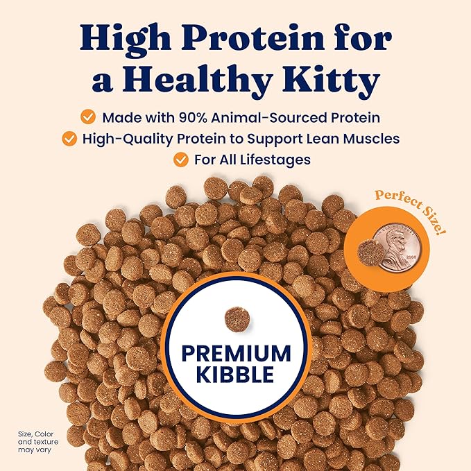 Solid Gold High Protein Dry Cat Food - Grain Free & Gluten Free Chicken Cat Dry Food w/Probiotics for Gut Health & Digestion - High Fiber & Omega 3 - Low Carb Superfood Kibble for Cats All Ages - 6LB