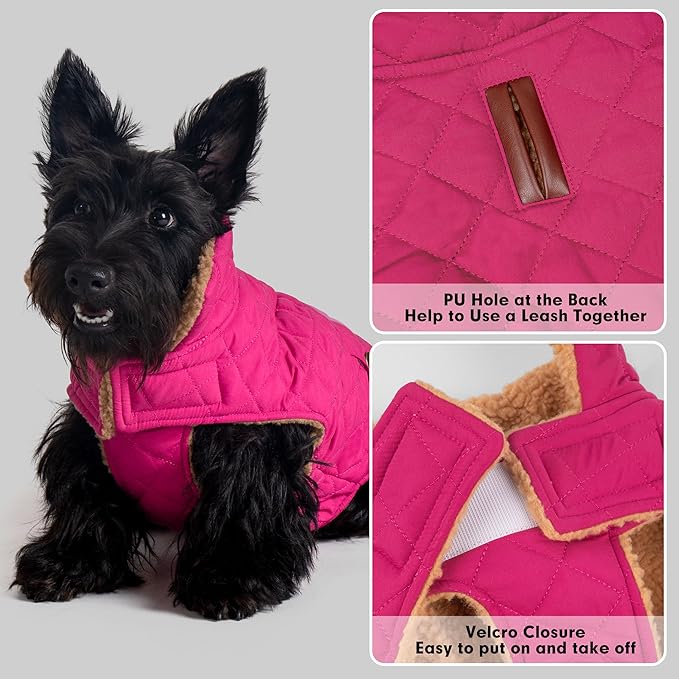 azuza Dog Jacket Waterproof & Windproof Dog Coat for Small Dogs with Thick Fleece, High Collar with Leash Hole, Adjustable Velcro & Elastic Belly, Rose Red M