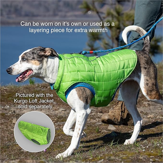 Kurgo Core Dog Sweater, Knit Dog Sweater With Fleece Lining, Cold Weather Pet Jacket, Zipper Opening for Harness, Adjustable Neck, Year-Round Sweater for Large Dogs (Heather Green, Large)