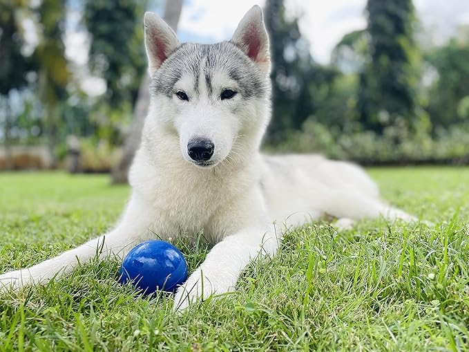 SuperChewy Tough Dog Ball Toy | Lifetime Replacement | Strong Natural Rubber | Great Dog Fetch Toy | Chew Toys for Dogs | Ultra Durable Chew Toys for Aggressive Chewers | Large Breed Tested