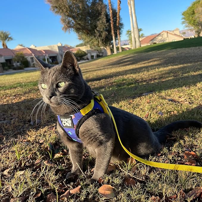 Travel Cat Harness and Leash Set - Adjustable Fit Harness and Reflective Strap - Comfort Walking Vest for Kitten for Outdoor Walking, Hiking (Medium, 90s Cat)