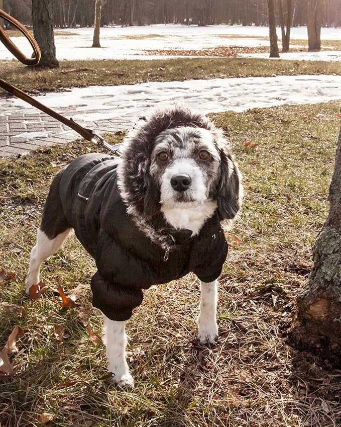 PET LIFE Classic Metallic Fashion Pet Dog Coat Jacket Parka w/ 3M Insulation and Removable Hood, X-Small, Metallic Black