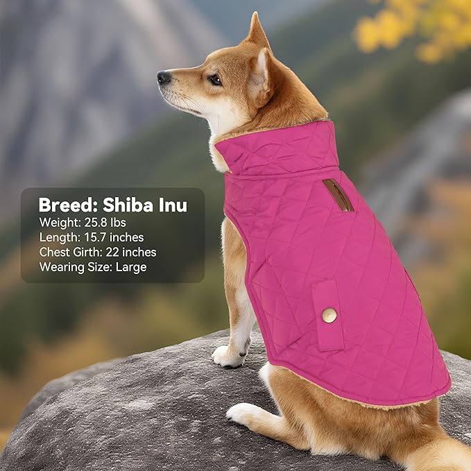 Dog Coat, Warm Winter Dog Waterproof Jacket for Medium Dogs, Fleece Lined Adjustable Dogs Coats Cold Weather Windproof Doggie Snowsuit with Leash Hole, Rose Red X-Large
