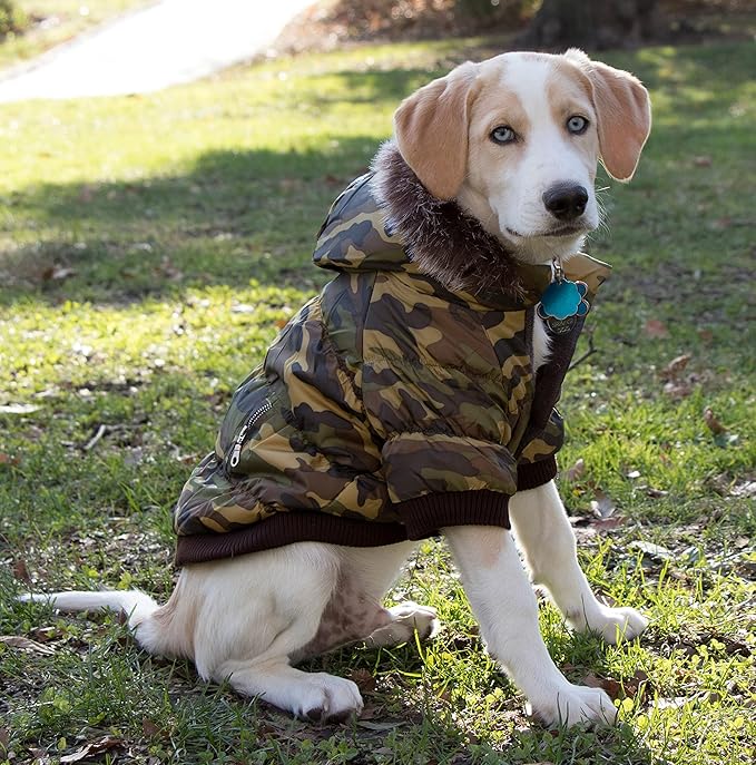 PET LIFE Classic Metallic Fashion Pet Dog Coat Jacket Parka w/ 3M Insulation and Removable Hood, X-Small, Camouflage