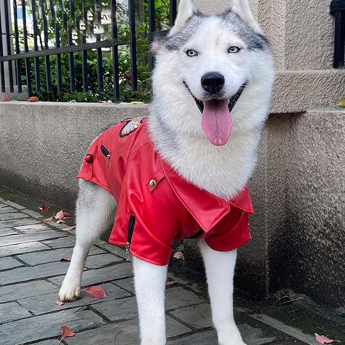 Lovelonglong Cool Dog Leather Jacket, Warm Coats Dogs Windproof Cold Weather Coats for Large Medium Small Dogs with Eagle Embroidery Red L-L