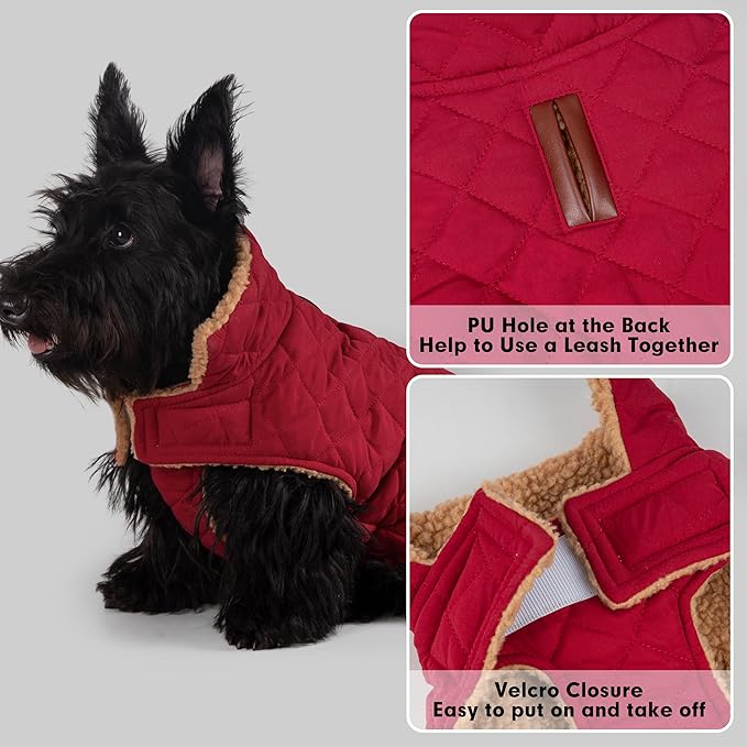 azuza Dog Jacket Waterproof & Windproof Dog Coat for Small Dogs with Thick Fleece, High Collar with Leash Hole, Adjustable Velcro & Elastic Belly, Red L