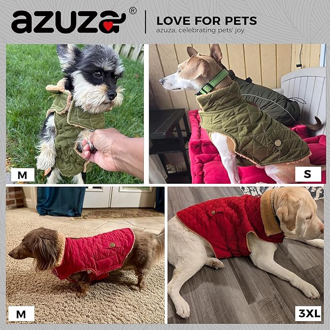 azuza Dog Jacket Waterproof & Windproof Dog Coat for Small Dogs with Thick Fleece, High Collar with Leash Hole, Adjustable Velcro & Elastic Belly, Rose Red, S