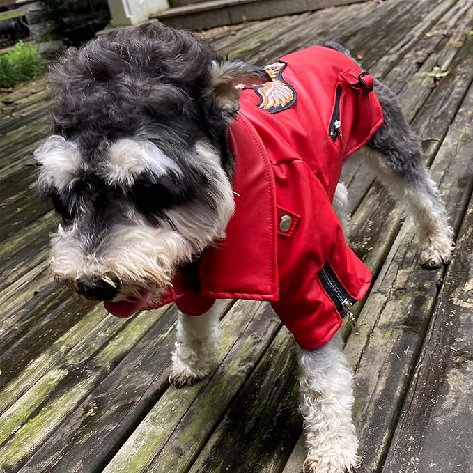 Lovelonglong Cool Dog Leather Jacket, Warm Coats Dogs Windproof Cold Weather Coats for Large Medium Small Dogs with Eagle Embroidery Red XS