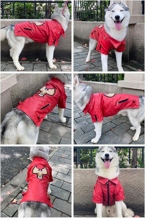 Lovelonglong Cool Dog Leather Jacket, Warm Coats Dogs Windproof Cold Weather Coats for Large Medium Small Dogs with Eagle Embroidery Red L-S
