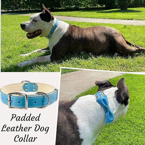 ADITYNA Heavy-Duty Leather Dog Collar for Large Dogs - Soft Padded for Comfort - Blue Dog Collar for Walking, Training, and Hiking