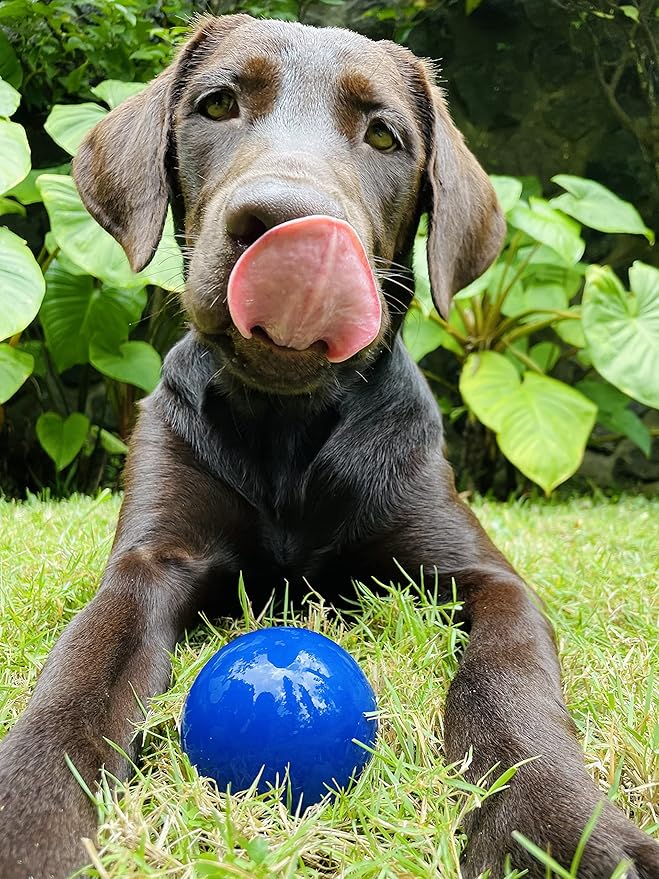 SuperChewy Tough Dog Ball Toy | Strong Natural Rubber | Great Dog Fetch Toy | Chew Toy for Dogs | Ultra Durable Chew Toy for Aggressive Chewers