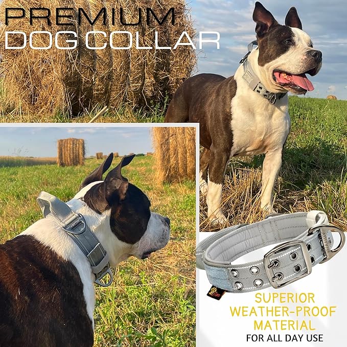 ADITYNA Heavy Duty Dog Collar for Large Dogs - Reflective Gray Collar with Handle for Training, and Walking - Wide, Thick, Tactical, Soft Neoprene Padded