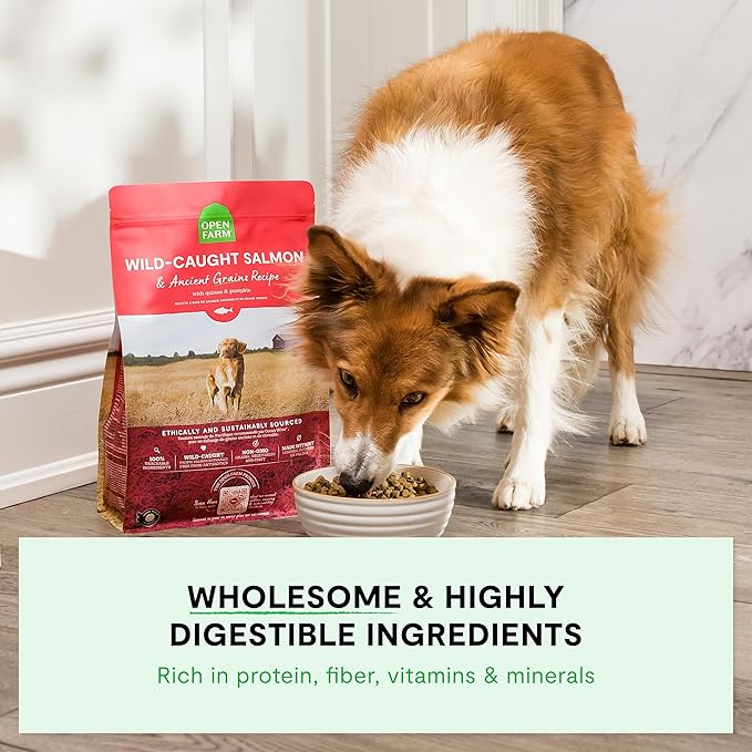 Open Farm, Ancient Grains Dry Dog Food, Protein-Rich & Nutrient Dense, 90% Animal Protein Mixed with Non-GMO Fruits, Veggies and Superfoods, Homestead Turkey Recipe, 11lb Bag