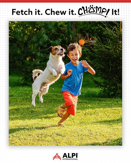 ALPI Chomp Ball - Durable Chew Toys for Dogs & Other Pets - Stimulating Dog Toys for Aggressive Chewers - Soft Dog Chews - 3-Pack, Assorted