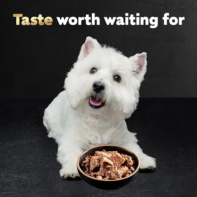 Cesar Wet Dog Food Loaf in Sauce Rotisserie Chicken Flavor with Bacon & Cheese and Filet Mignon Flavor with Bacon & Potato Variety Pack, 3.5 oz. Easy Peel Trays (12 Count, Pack of 2)