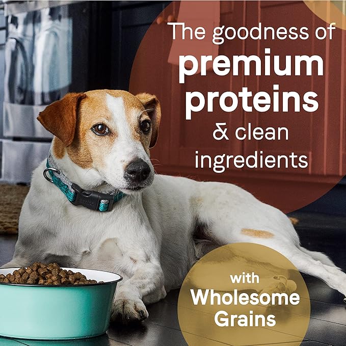 CANIDAE Pure Limited Ingredient Premium Puppy Dry Dog Food, Real Salmon & Oatmeal Recipe, 4 lbs, with Wholesome Grains