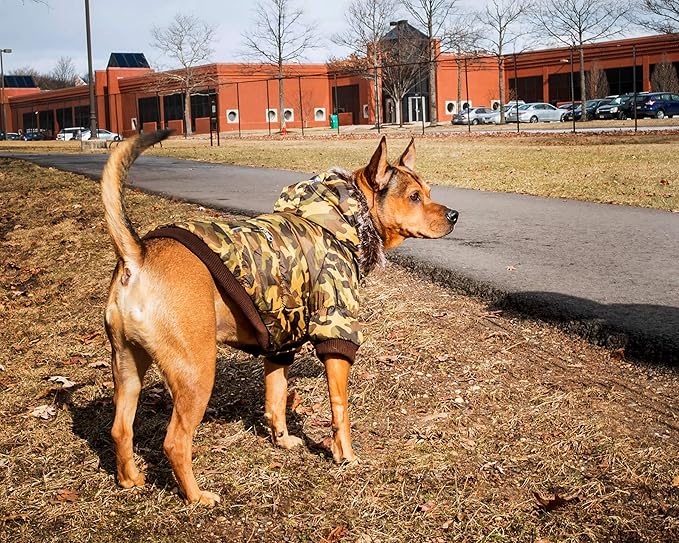 PET LIFE Classic Metallic Fashion Pet Dog Coat Jacket Parka w/ 3M Insulation and Removable Hood, X-Small, Camouflage
