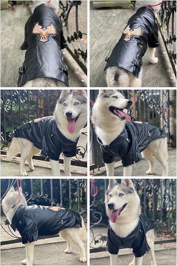 Lovelonglong Cool Dog Leather Jacket, Warm Coats Dogs Windproof Cold Weather Coats for Large Medium Small Dogs with Eagle Embroidery Black L-S