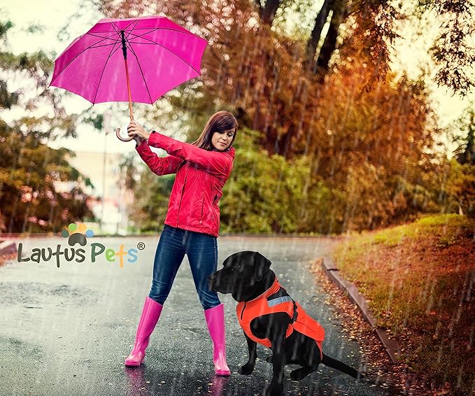 Dog Rain Coat - Waterproof, Reflective, Bright Orange with Leash Hole (L, Orange)