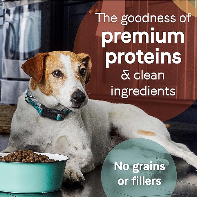 Canidae Pure Limited Ingredient Premium Adult Dry Dog Food, Real Lamb, Goat & Venison Meals Recipe, 4 lbs, Grain Free