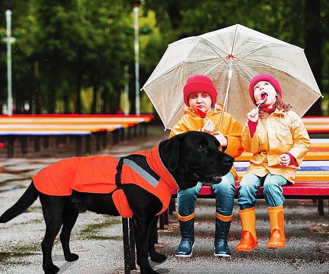 Dog Rain Coat - Waterproof, Reflective, Bright Orange with Leash Hole (M, Orange)